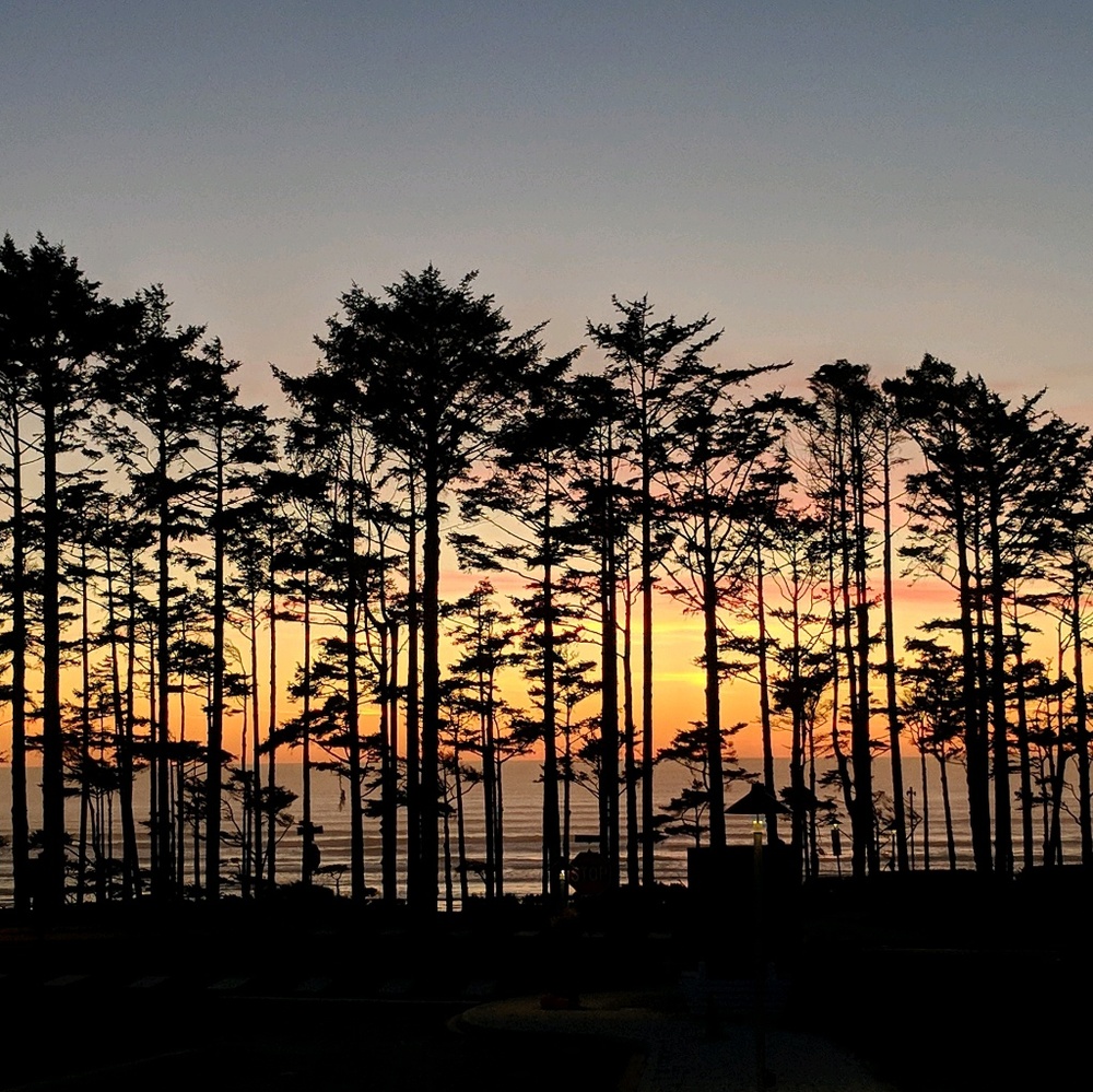 Meet your Posher, Joam